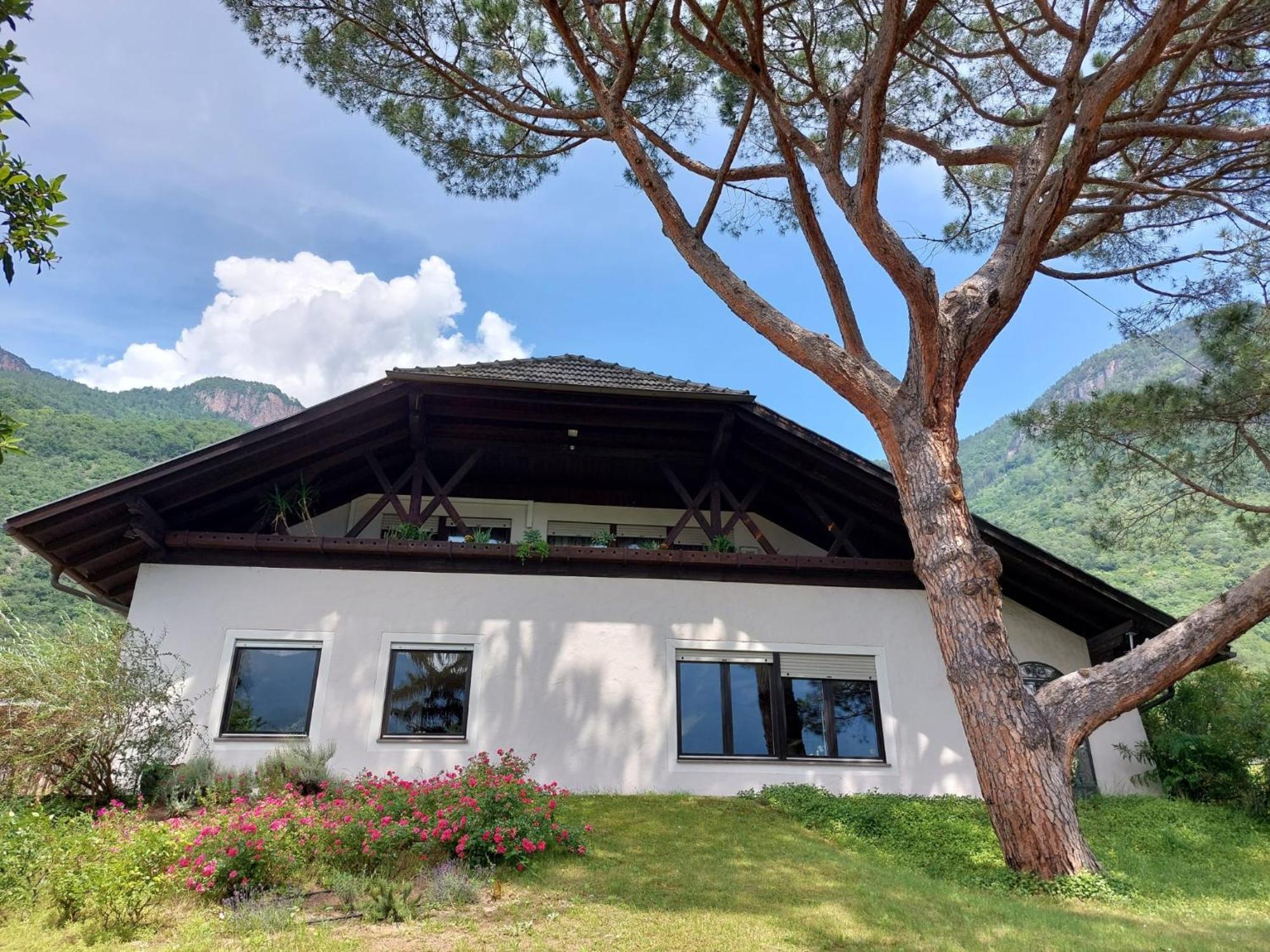 Villa Pinie Apt 1 แตร์ลาโน ภายนอก รูปภาพ